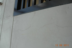 landscaping_12aug11_12