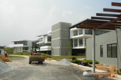 landscaping_12aug11_18