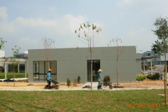 landscaping_12aug11_20