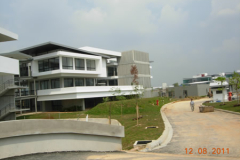 landscaping_12aug11_21
