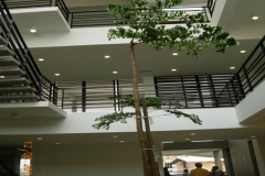 landscaping_12aug11_27