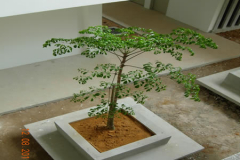 landscaping_12aug11_29