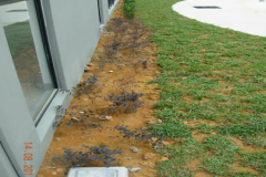 landscaping_12aug11_33