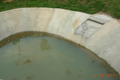 landscaping_12aug11_37