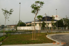 landscaping_4sep11_22