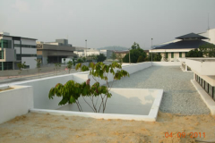 landscaping_4sep11_3