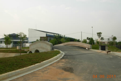 landscaping_4sep11_39