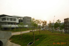 landscaping_4sep11_56