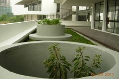 landscaping_4sep11_63