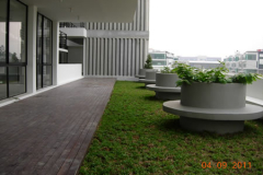 landscaping_4sep11_65