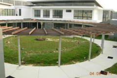 landscaping_4sep11_9