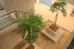 nightview_7oct11_125