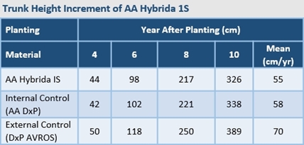 Trunk Height Increment of AA Hybrida 1S